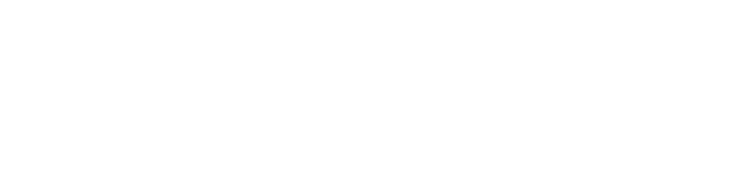 First Software Systems